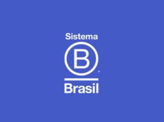 Você sabe o que é uma empresa B?