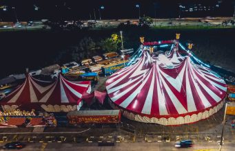 A Importância de Passeios Culturais para Pessoas Vulneráveis