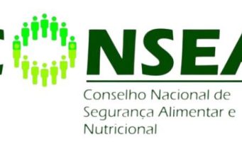 O Conselho Nacional de Segurança Alimentar e Nutricional (CONSEA) e Sua Importância no Combate à Fome