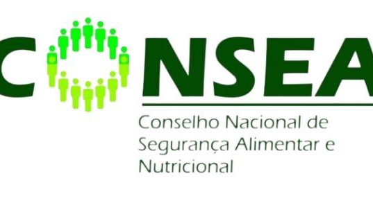 O Conselho Nacional de Segurança Alimentar e Nutricional (CONSEA) e Sua Importância no Combate à Fome