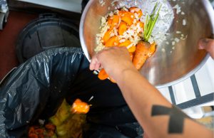 Desperdício de Alimentos: Um Desafio Urgente em um Mundo de Fome