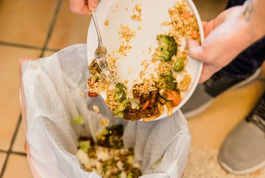 Desperdício Alimentar: Um bilhão de refeições são desperdiçadas todos os dias, aponta ONU