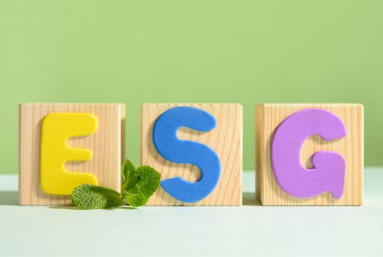 O Papel Crescente do ESG e da Responsabilidade Social nas Empresas Modernas