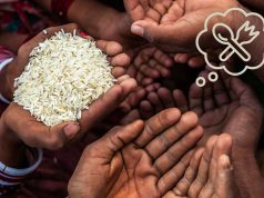 Um em cada quatro domicílios não teve comida suficiente ou adequada na mesa em 2023, aponta IBGE