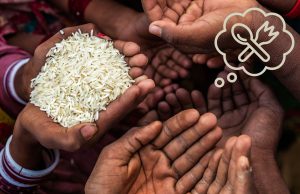 Um em cada quatro domicílios não teve comida suficiente ou adequada na mesa em 2023, aponta IBGE