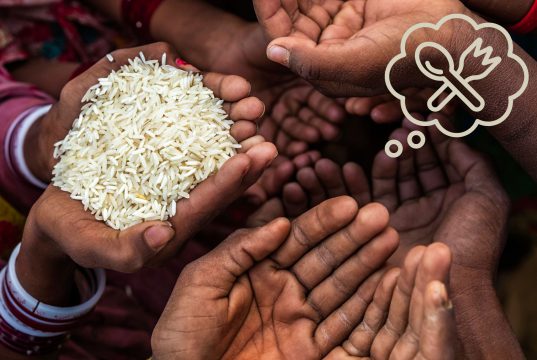 Um em cada quatro domicílios não teve comida suficiente ou adequada na mesa em 2023, aponta IBGE