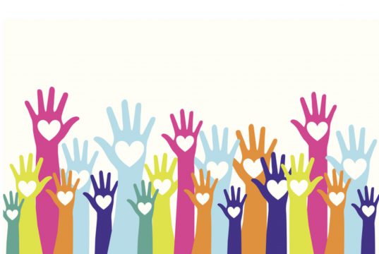 Como Escolher uma ONG para Ajudar: Um Guia Prático