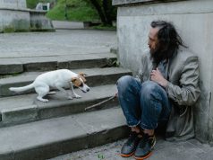 O Debate Sobre Animais de Estimação e Pessoas em Situação de Rua: Direitos, Cuidado e Bem-Estar