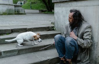 O Debate Sobre Animais de Estimação e Pessoas em Situação de Rua: Direitos, Cuidado e Bem-Estar
