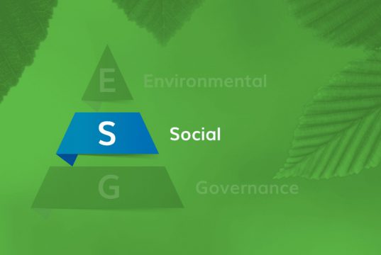 Integrando o S de Social: Voluntariado Corporativo e Parcerias com OSCs Locais na Abordagem ESG o Social do ESG