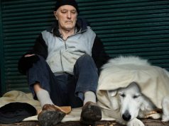 Por que os Moradores de Rua Quase Sempre Têm Cachorros?