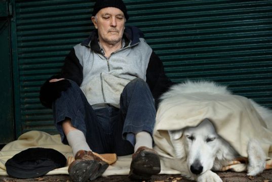 Por que os Moradores de Rua Quase Sempre Têm Cachorros?