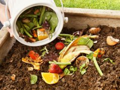 Compostagem: Uma Solução Sustentável Para o Desperdício de Alimentos
