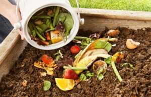 Compostagem: Uma Solução Sustentável Para o Desperdício de Alimentos