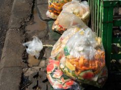 O Desperdício de Alimentos e o Aumento das Emissões de Gases de Efeito Estufa