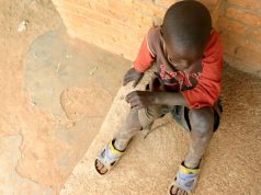 Saiba como a insegurança alimentar afeta a saúde