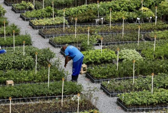 Projeto da Cedae Bases Florestais nos Presídios: Ressocialização, Sustentabilidade e Recuperação Ambiental no Rio de Janeiro