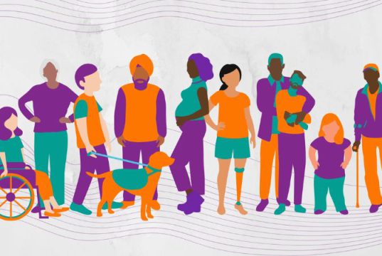 Manual para Implementar um Programa de Diversidade nas Empresas: Diversidade de Gênero, PCDs, Pensamentos Políticos e Outros Grupos Minoritários