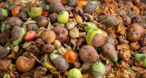 Nova Política Nacional de Combate à Perda e ao Desperdício de Alimentos: o que muda — e como restaurantes podem agir já (Lei nº 15.224/25)