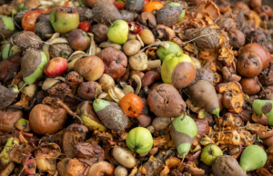 Nova Política Nacional de Combate à Perda e ao Desperdício de Alimentos: o que muda — e como restaurantes podem agir já (Lei nº 15.224/25)